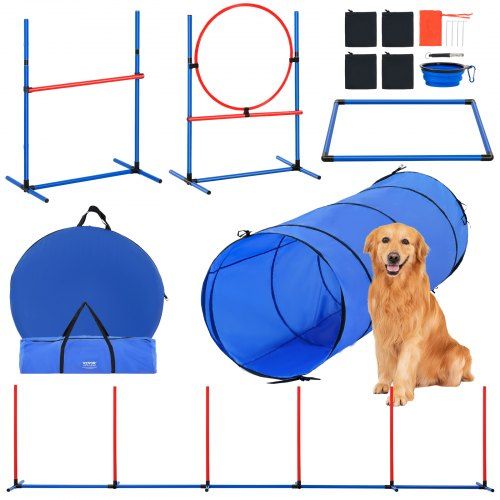 Complete Agility Trainingsset voor Honden: Alles voor een speelse en effectieve behendigheidstraining