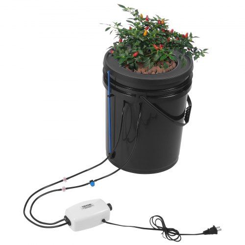 DWC Hydroponics Grow System: Compleet 5‑gallon diepwaterkweekpakket voor thuis en balkon
