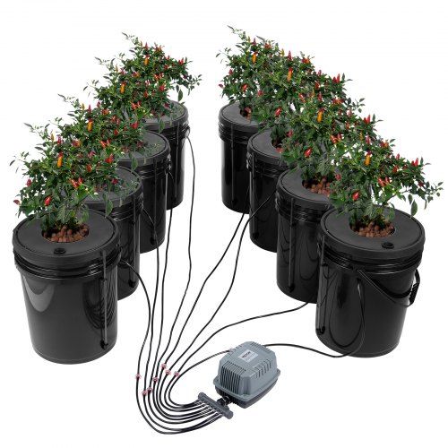 Complete DWC hydroponics systeem voor thuis- en balkon kweken – makkelijk, duurzaam en veelzijdig