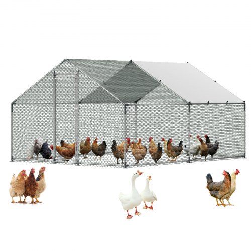 Groot metalen kippenhok 3x4x2 m met overkapping – stevige, weerbestendige ren voor kippen en meer