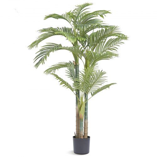 Levensechte gouden fruitpalm voor elk interieur – de onderhoudsvrije groene blikvanger