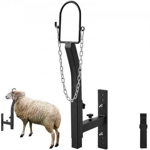 Verstelbare veestandaard voor geiten, schapen en kalveren – robuust, roestbestendig en multifunctioneel
