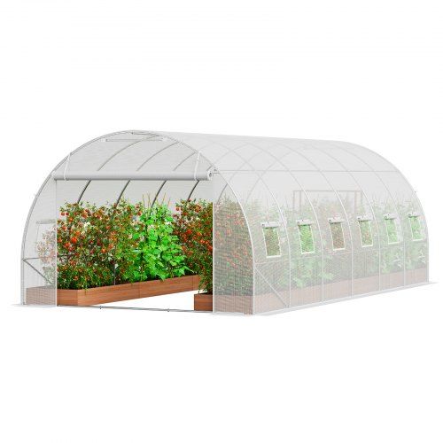 Maatwerk Walk‑In Tunnelkas 3,4 × 1,9 × 1,9 m – Duurzame Bescherming voor Uw Tuin