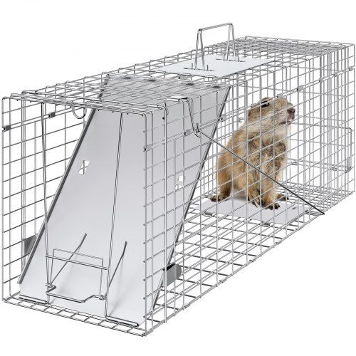 Humane en robuuste live val voor katten, wasberen en knaagdieren – Praktisch overzicht